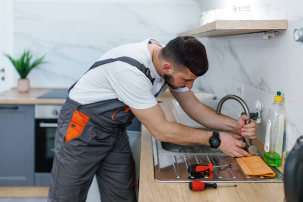 Best Residential Plumbing Services  in La Presa, CA