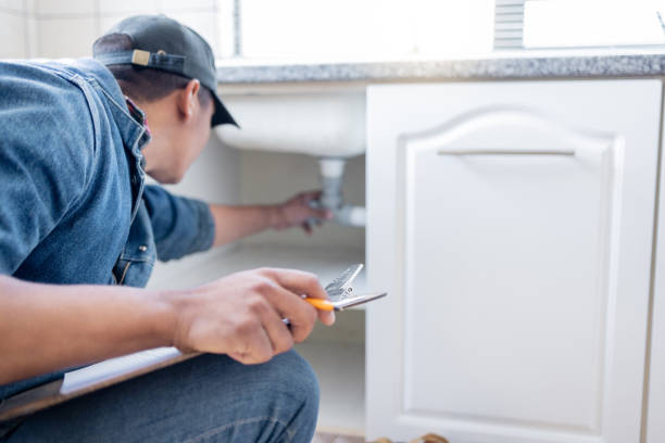 Best Clogged Drain Plumber  in La Presa, CA