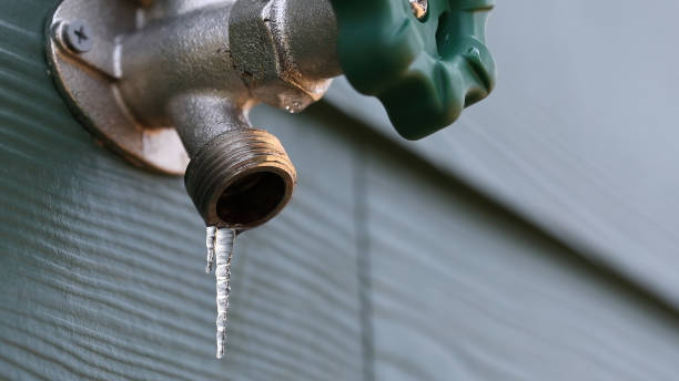 Best Faucet Repair  in La Presa, CA